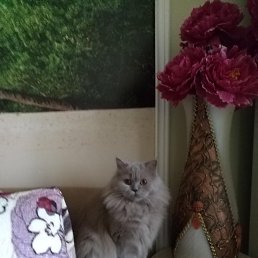 ���� �**�, �����, 94 ���� - ��������� 16 ������ 2024