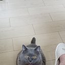 ���� �����, �������, 57 ��� - ��������� 13 ������ 2025 � ������ ������ ��������