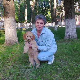 ������, ����