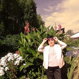 ������., ������, 59 ���