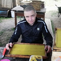 ������, 39 ���, �����������