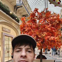 �������, 38 ���, �����������