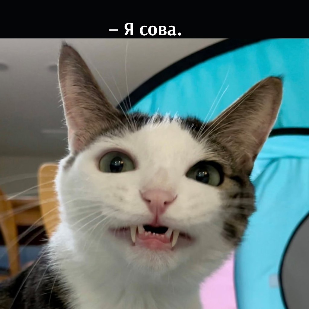 ��� ���� � ����� �� �� - 20 ����� 2026 � 22:30 - 2