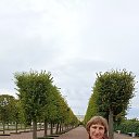 ���� ��������, ������, 63 ���� - ��������� 13 ������ 2026 � ������ ���� ����������
