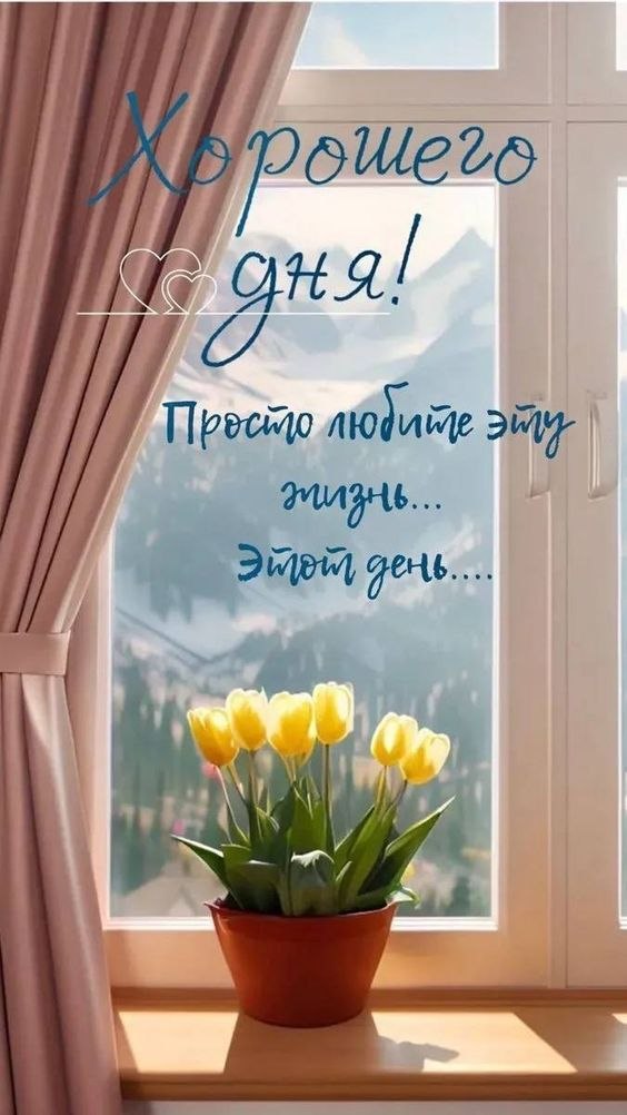   - 6  2024  13:06