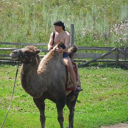 ���� ����, ������, 51 ��� - ��������� 3 ������� 2024