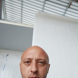 , 41, 