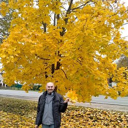 ���������, ������