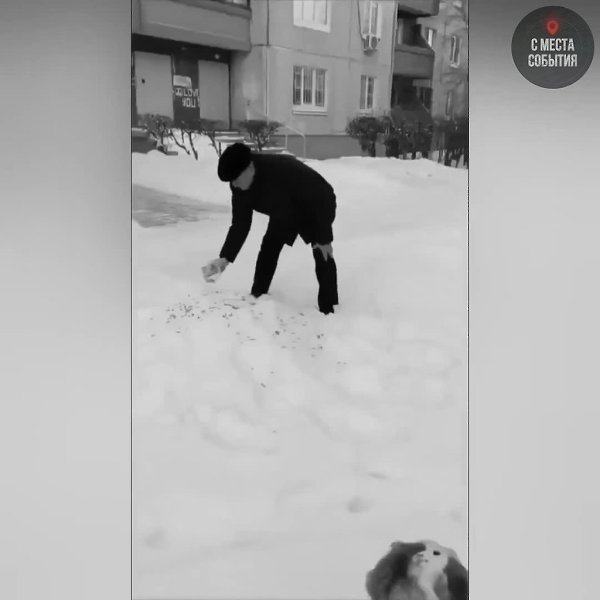 � ����� ������������ �������������� ��������: ������� ���������� ����� ���������� ����, ��� ������� ...