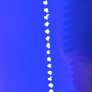 ���������, 37 ���, ������