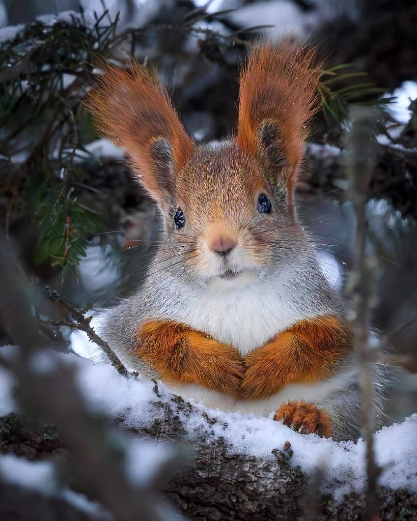 ��� ���� - 22 ������� 2025 � 16:57