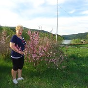 , 80 , 