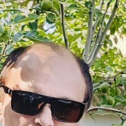 , 41, 