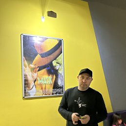 �������, 40 ���, ����