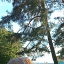 ���� ������, �����-���������, 57 ��� - ��������� 30 ��� 2024 � ������ ���� ����������