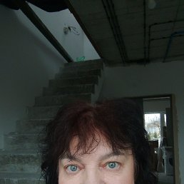 , 61, 