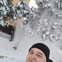  , 38, 