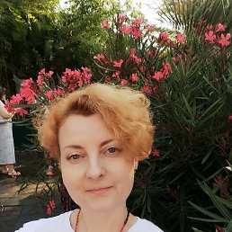 , 43, 