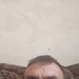 , 34, 
