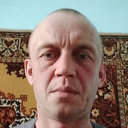 ������� �������, ������, 41 ���