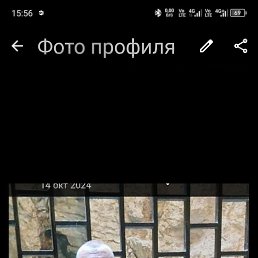 , 50, 