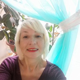 ���� ����, ��������, 54 ���� - ��������� 8 ������ 2024