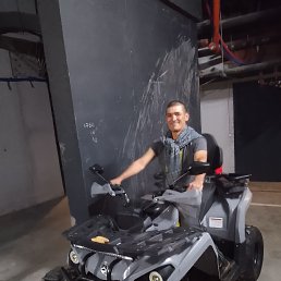 , 37, 