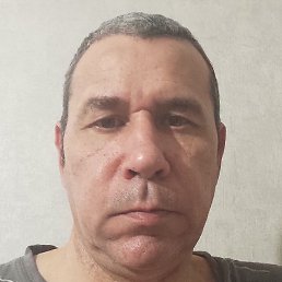 ����, ���������� �����, 49 ���