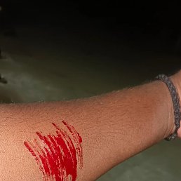 Roja, ����, 22 ����
