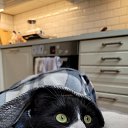 ���� �������, ������, 65 ��� - ��������� 28 ������� 2026 � ������ ������ ��������