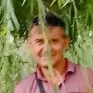 ���������, 55 ���, ������