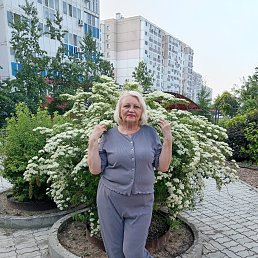 , 61, 
