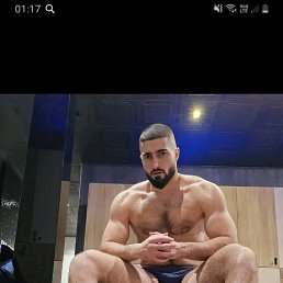 �����, 41 ���, ������