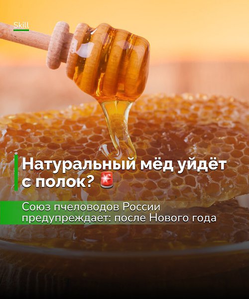 Краткий вывод: натурального мёда в магазинах станет меньше, фальсификат и медовые продукты из сиропа ...
