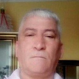 �����, �����, 61 ���