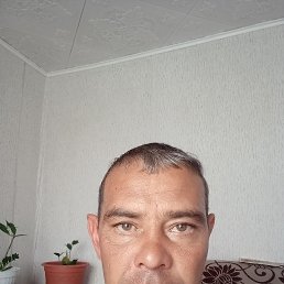 , 40,  
