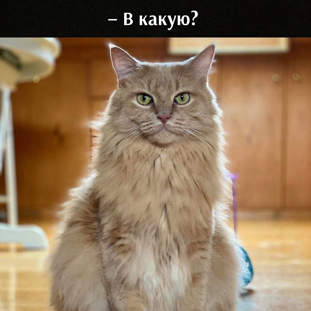       - 6  2025  11:48 - 2