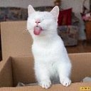 ���� ������, ���� - ��������� 22 ������� 2024