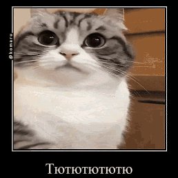 , , 32 