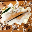 ���� ����, �������, 41 ��� - ��������� 5 ������ 2024 � ������ ������ ��������