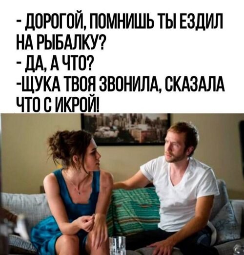   ! - 24  2024  21:36