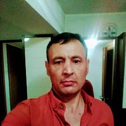 , 51, 