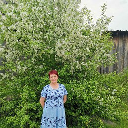 �������, ������, 67 ���