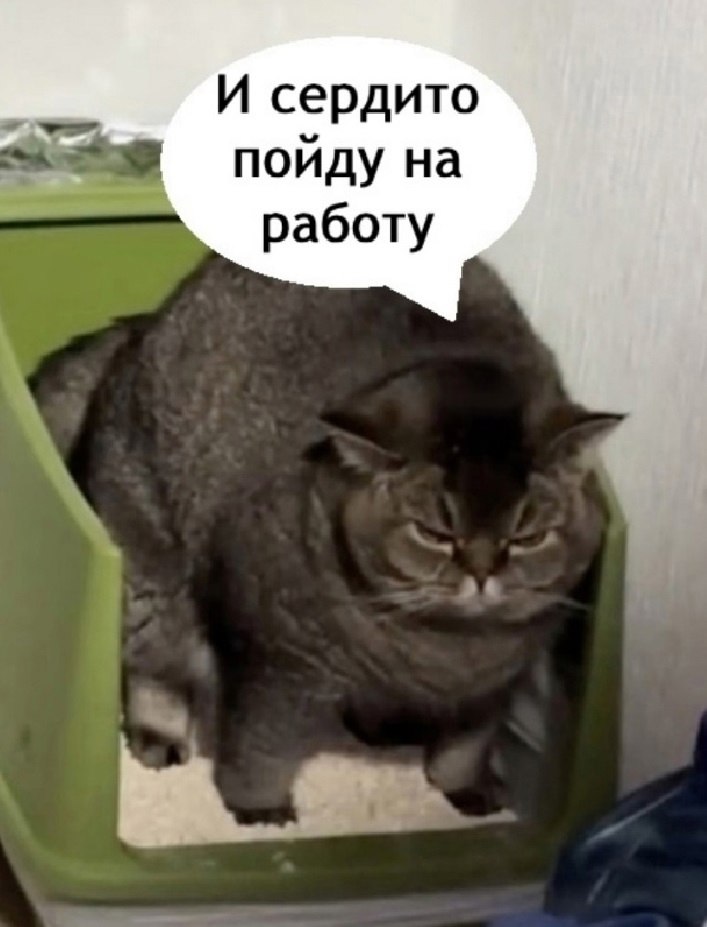 ��� ���� � ����� �� �� - 3 ���� 2026 � 11:55 - 2