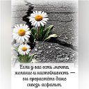���� �������, �����-��������� - ��������� 28 ���� 2025 � ������ ������ ��������