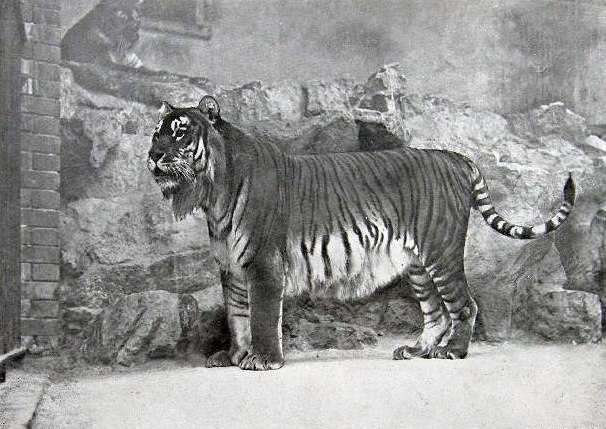    ,   , 1970 .