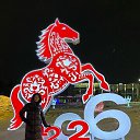���� �������, ���������� �����, 49 ��� - ��������� 16 ����� 2026 � ������ ���� ����������