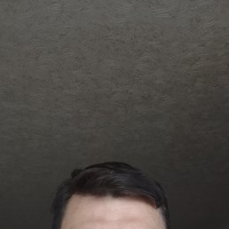 ���� ������, �����, 44 ���� - ��������� 27 ���� 2024