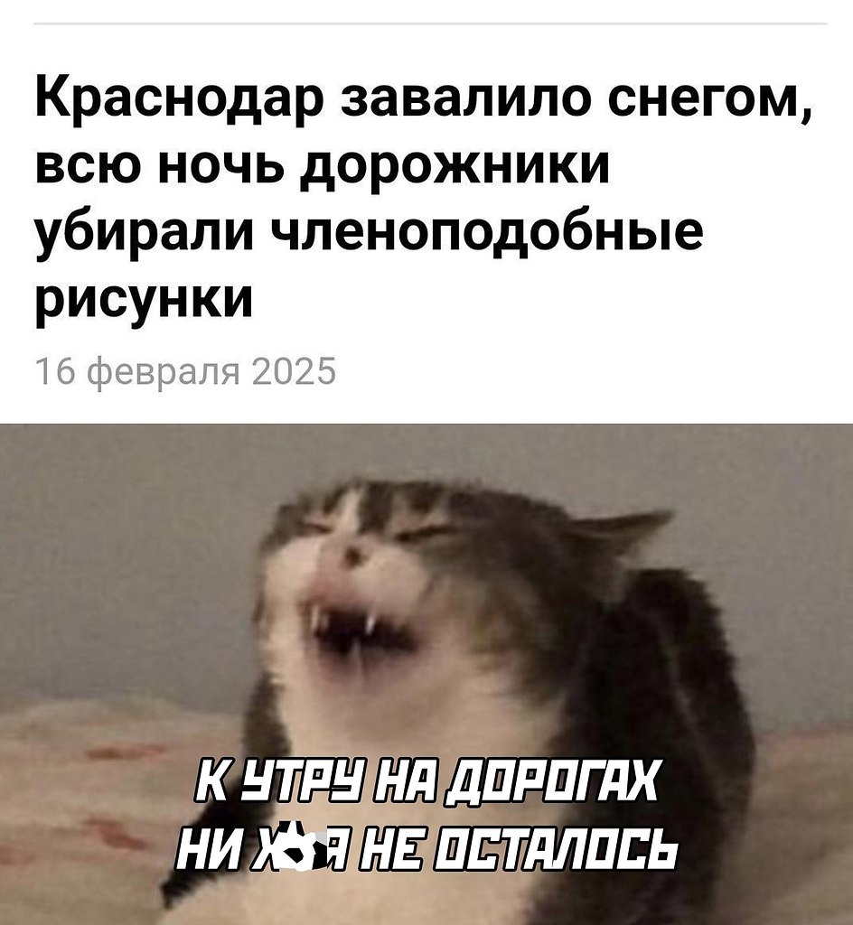  - 21  2025  12:46