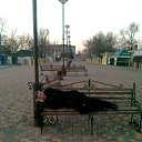 ���� ������, ������, 54 ���� - ��������� 11 ����� 2026 � ������ ���� ����������